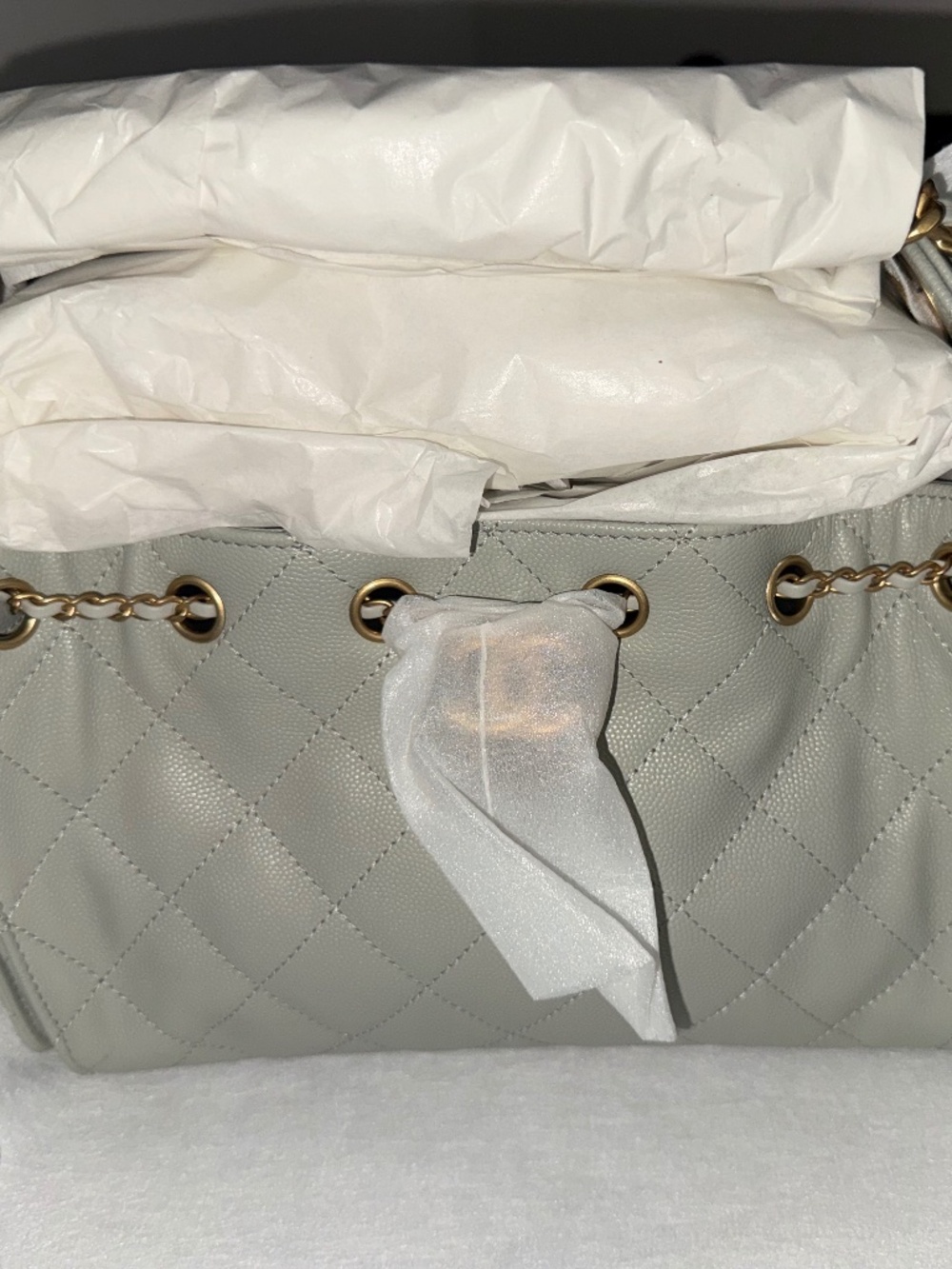 **BRAND NEW** CHANEL 25 MINI **RARE**